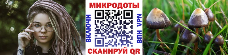 Псилоцибиновые грибы Psilocybe  Ульяновск 